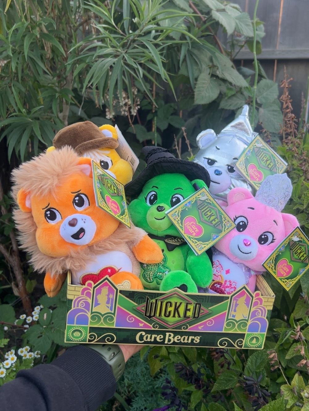 Care Bears Wicked Plush Set - Green, Pink, Orange, Silver, Brown